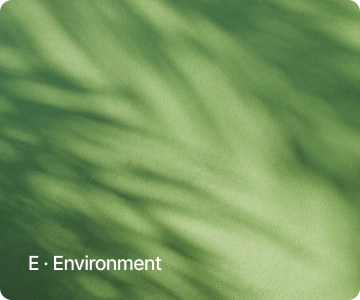 E · Environment
