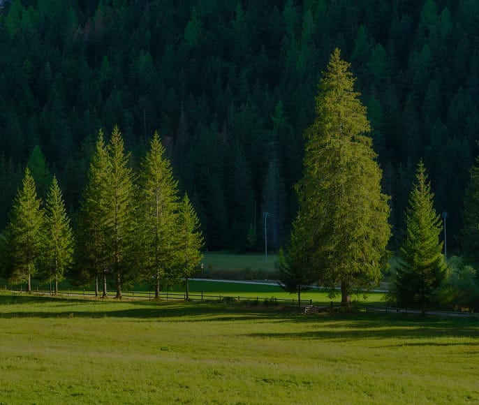 환경영향 저감활동